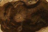 Petrified Wood (Cherry) Slab - McDermitt, Oregon #141409-1